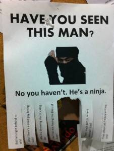 ninja2